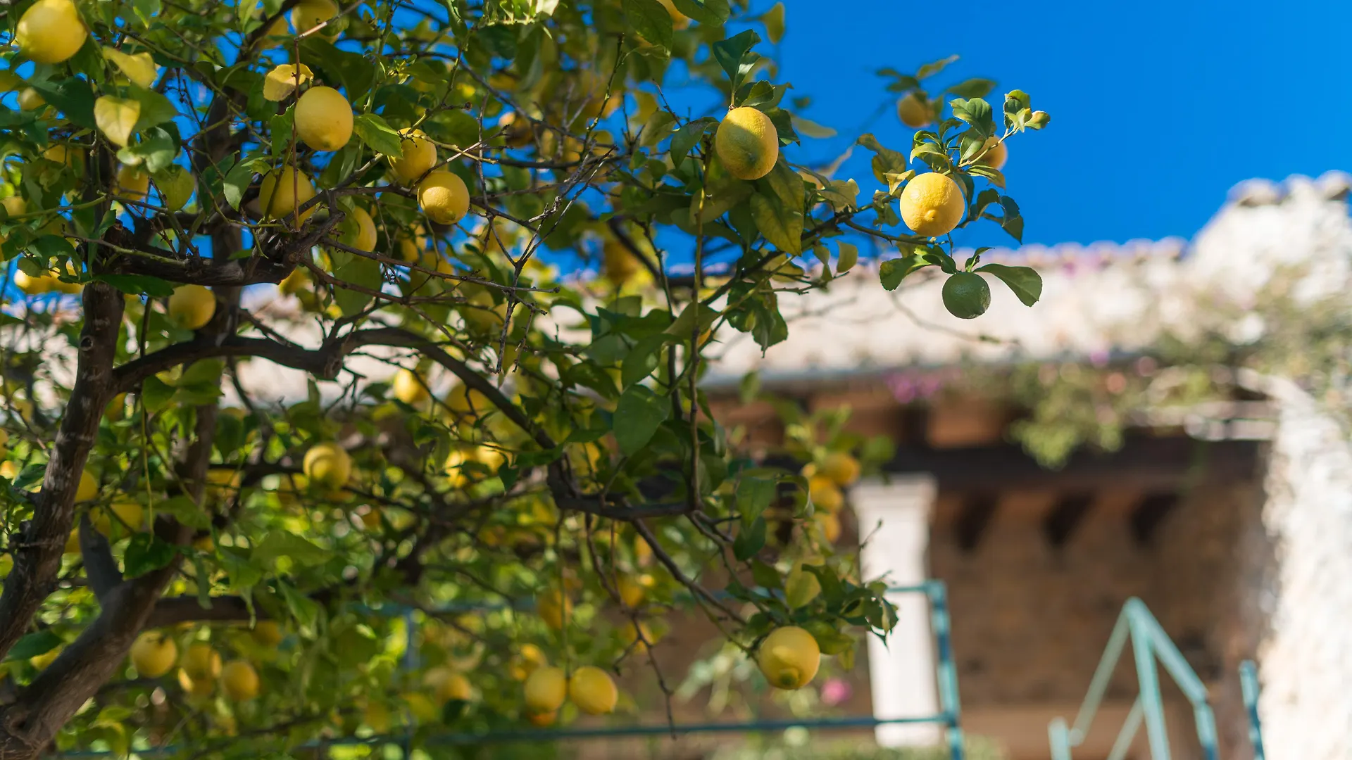 New Can Furios Hotel By Can Calco Hotels Selva  Spagna
